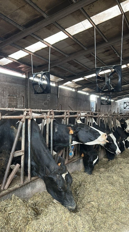 automação industrial